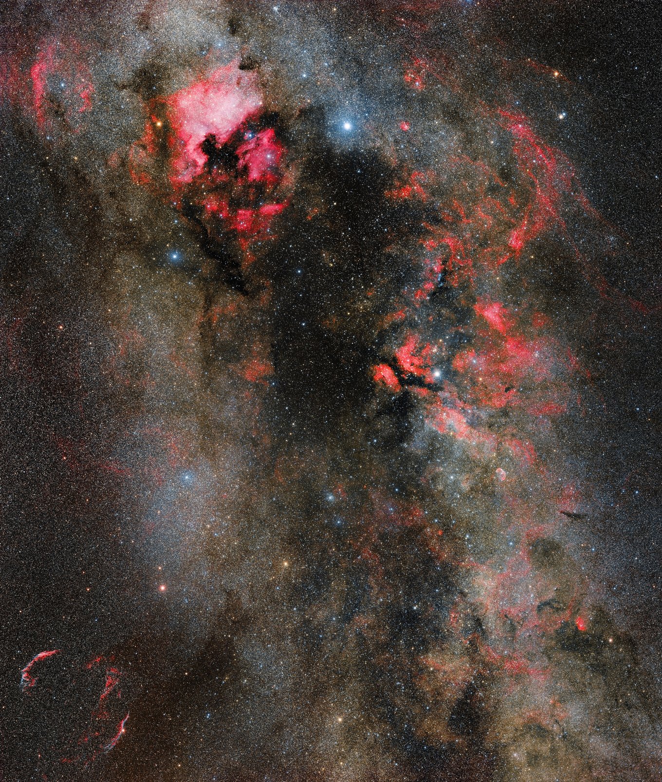 The treasures of the Cygnus constellation