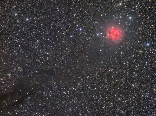 IC 5146, the Cocoon nebula